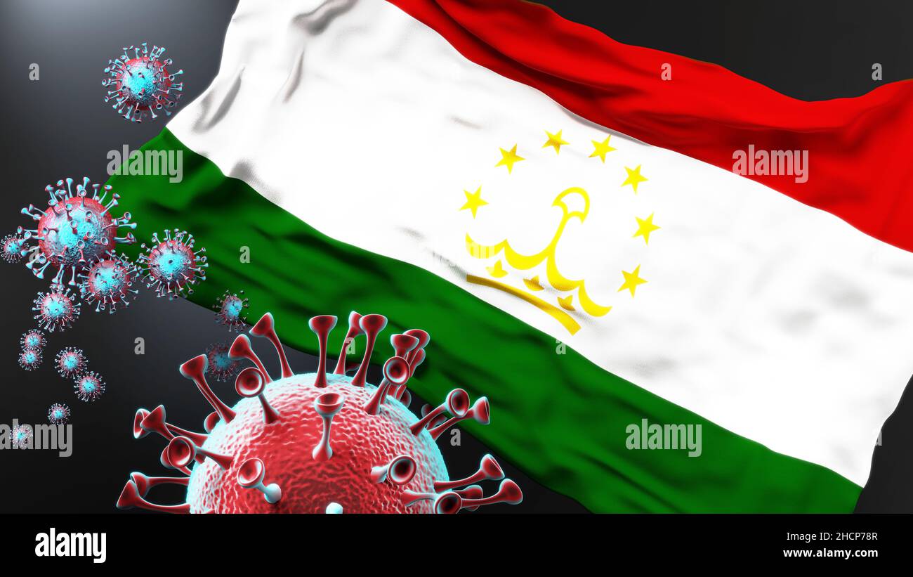 Tajikistan and the covid pandemic - corona virus attacking national flag of Tajikistan to symbolize the fight, struggle and the virus presence in this Stock Photo