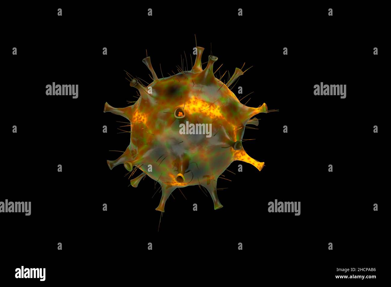 Omicron variant of coronavirus digitaly generated against black background.The B.1.1.529 variant was first reported to WHO from South Africa on 24 Nov. Stock Photo