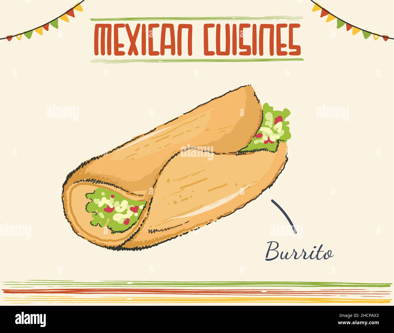 Mexican Burrito, tortilla stuffed shredded carnitas and fresh cilantro