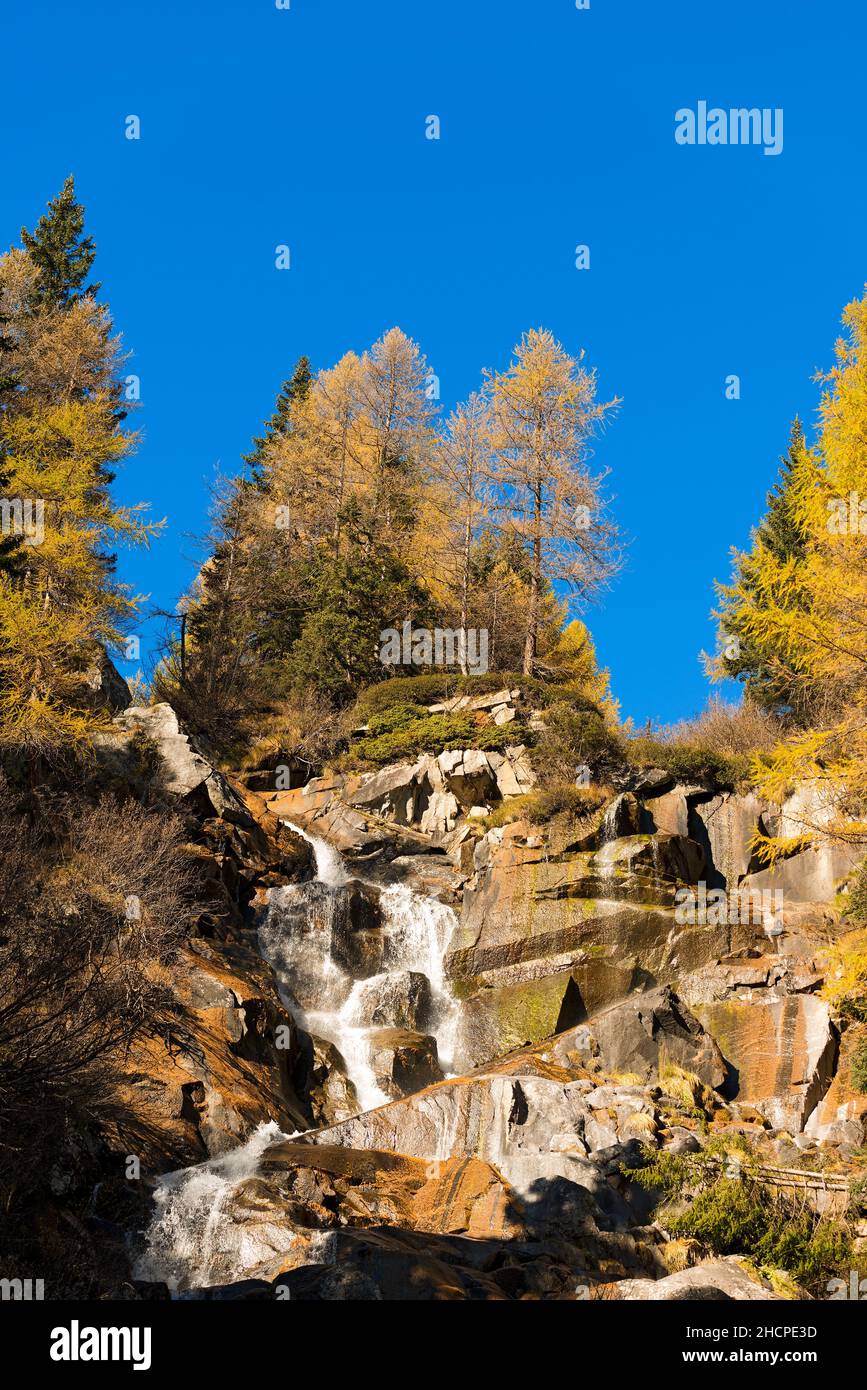 Waterfall in autumn with larch and pines in the National Park of Adamello Brenta, Val di Fumo. Trentino Alto Adige, Italy Stock Photo