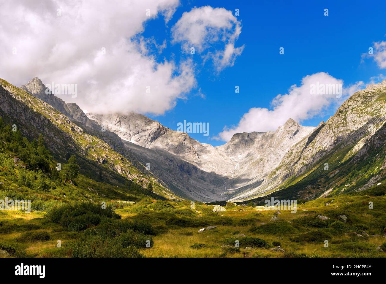 Val di Fumo (Fumo Valley) in summer. National Park of Adamello Brenta, Trentino Alto Adige, Italy, Europe. Stock Photo