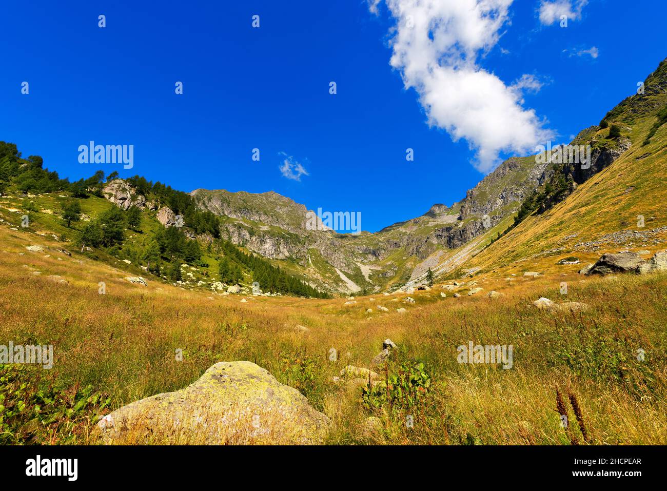 Mountain peaks and pastures in the National Park of Adamello Brenta ...