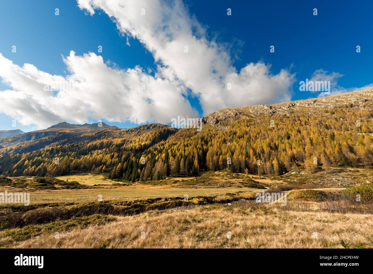 Val di Fumo in autumn. National Park of Adamello Brenta, Trentino Alto Adige, Italy, Europe. Stock Photo