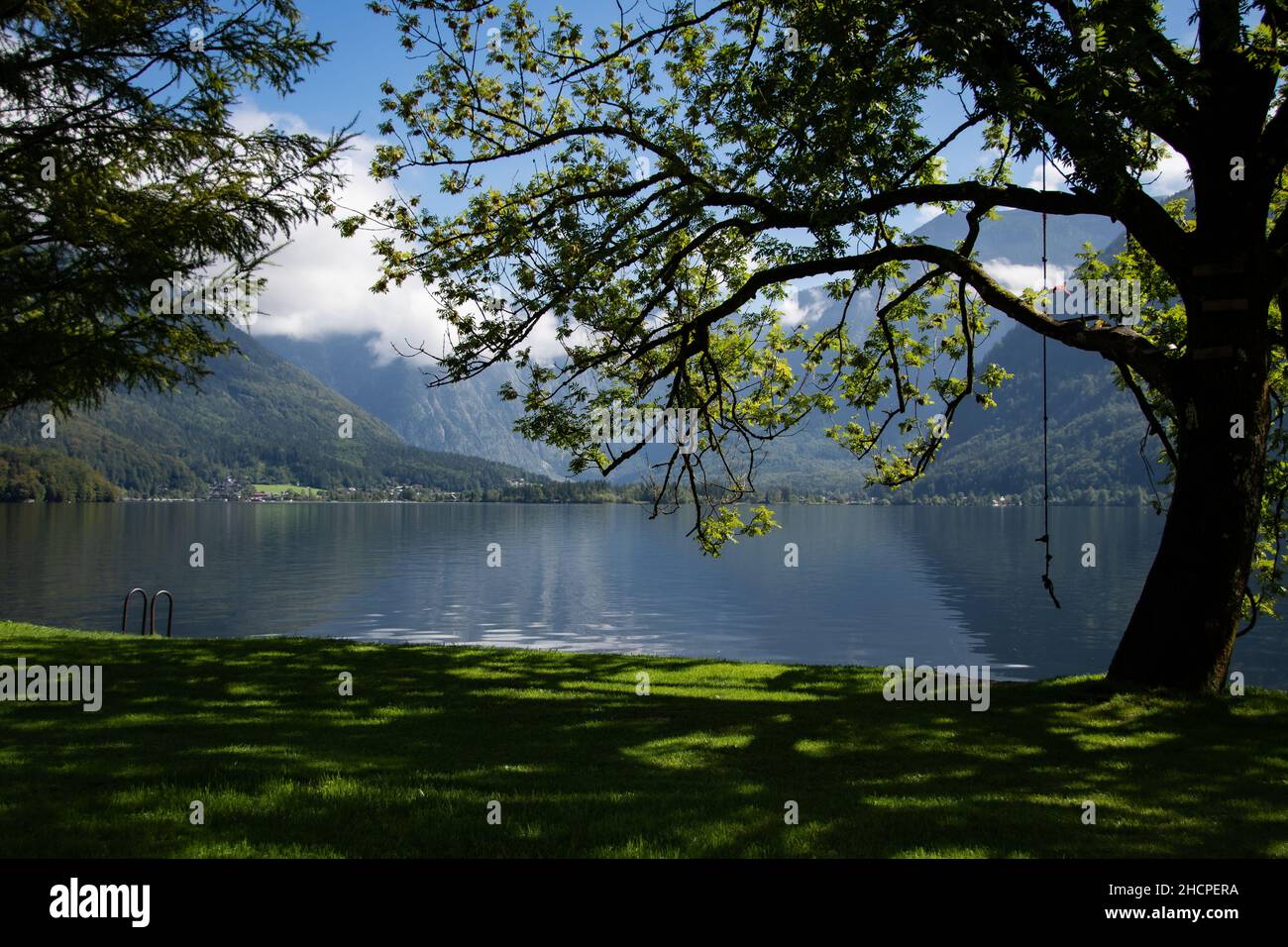Idyllic lake tree grass hi-res stock photography and images - Alamy
