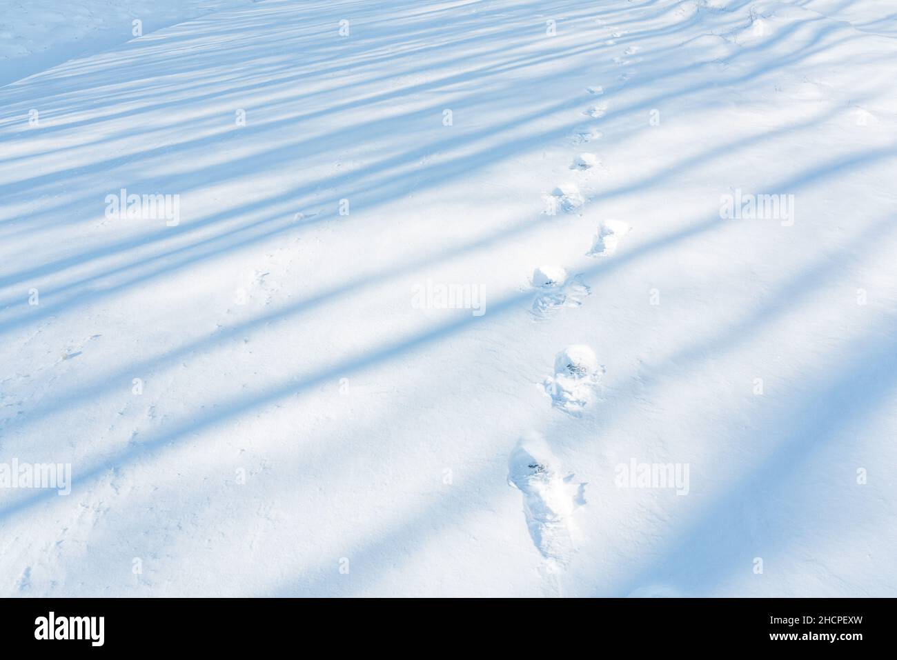 Human footprints in deep snow Stock Photo - Alamy