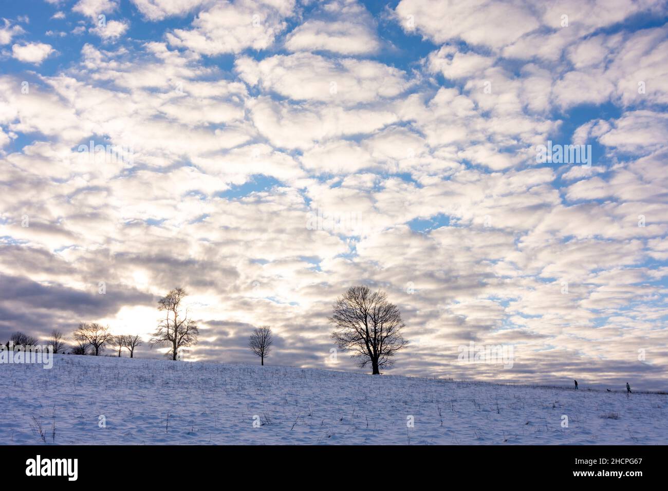 Altenberg: snow at field, trees, clouds, in Erzgebirge, Ore Mountains ...