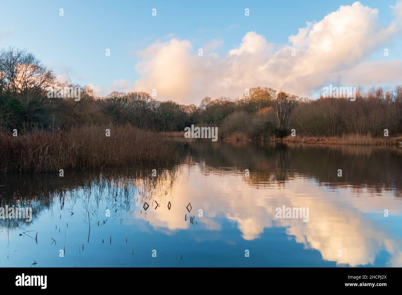 The Ornamental Lake on Southampton Common Stock Photo Alamy