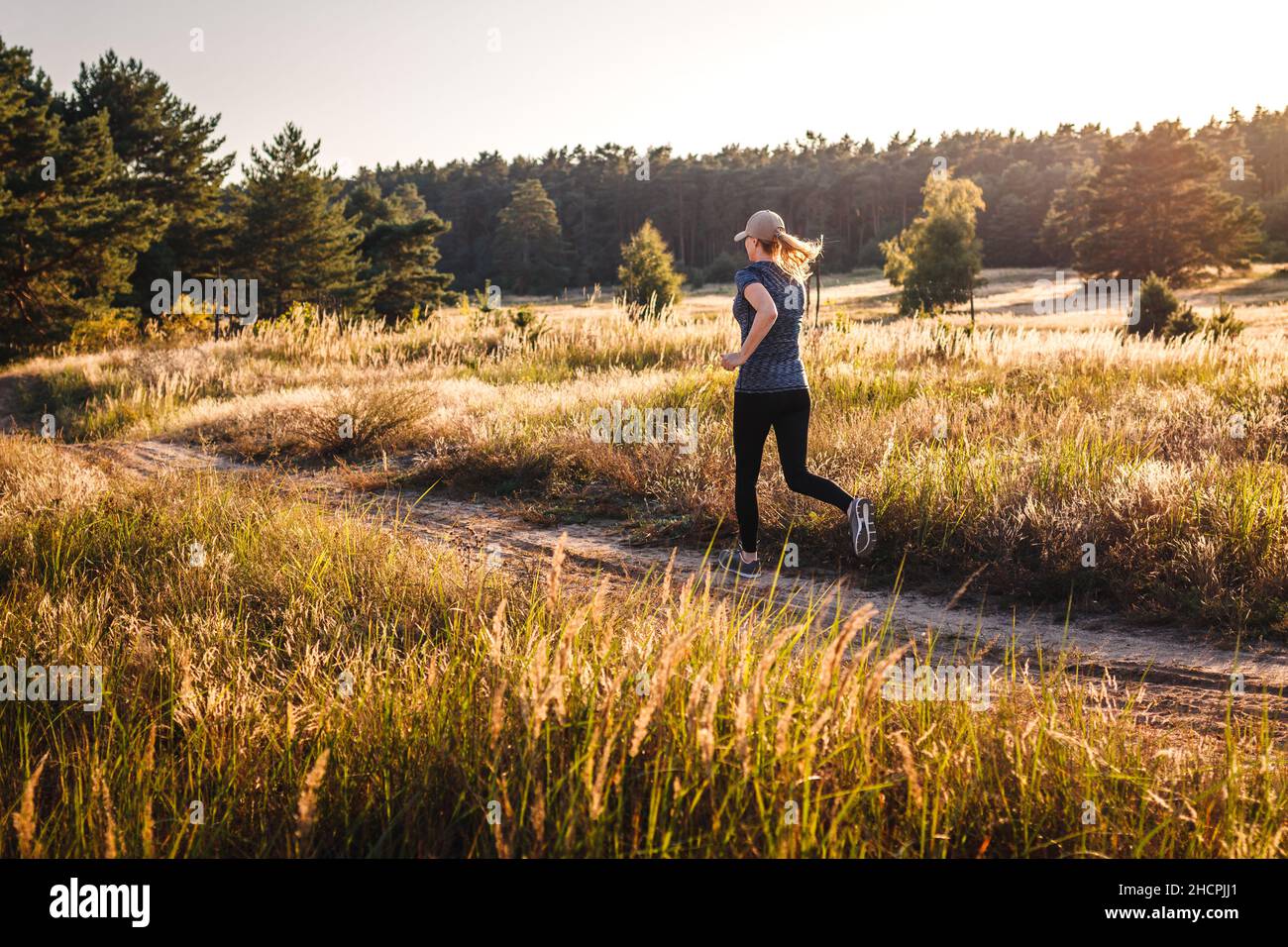 Cross-country running. Woman running in nature during summer sunset ...