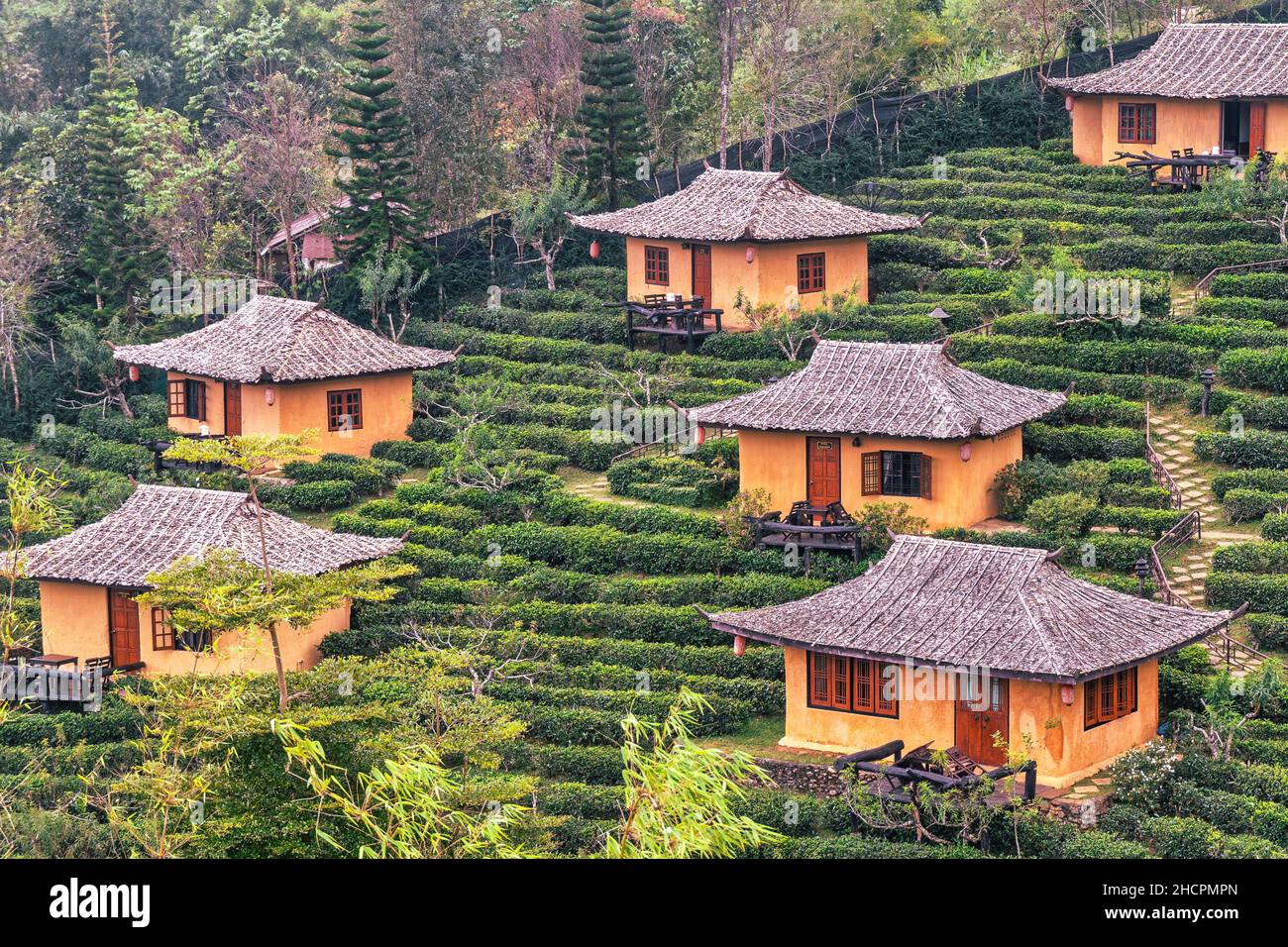 Photo taken during motorcycle trip from Mae Hong Son to Ban Rak Thai in ...
