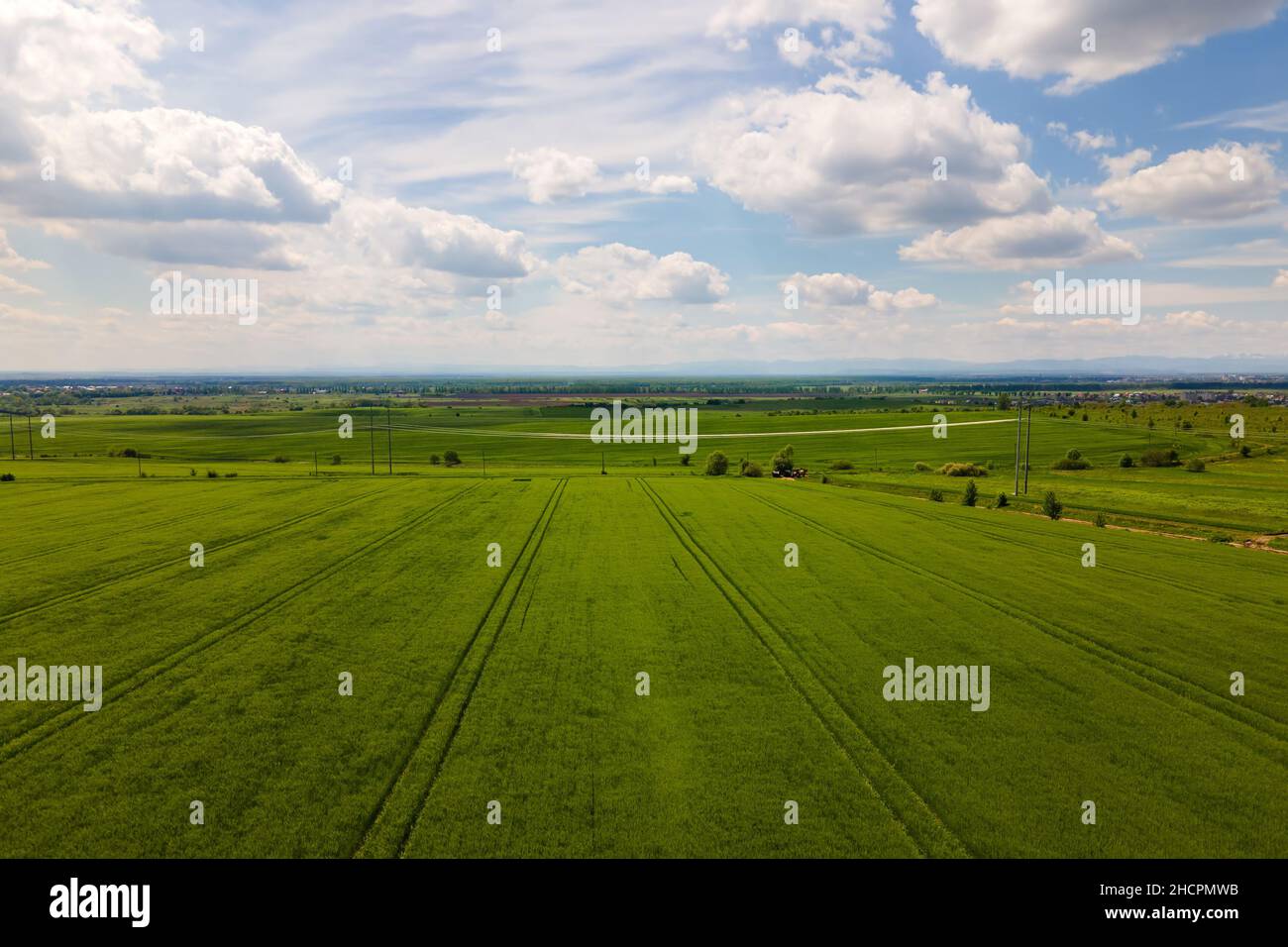 Aerial landscape view of green cultivated agricultural fields with ...