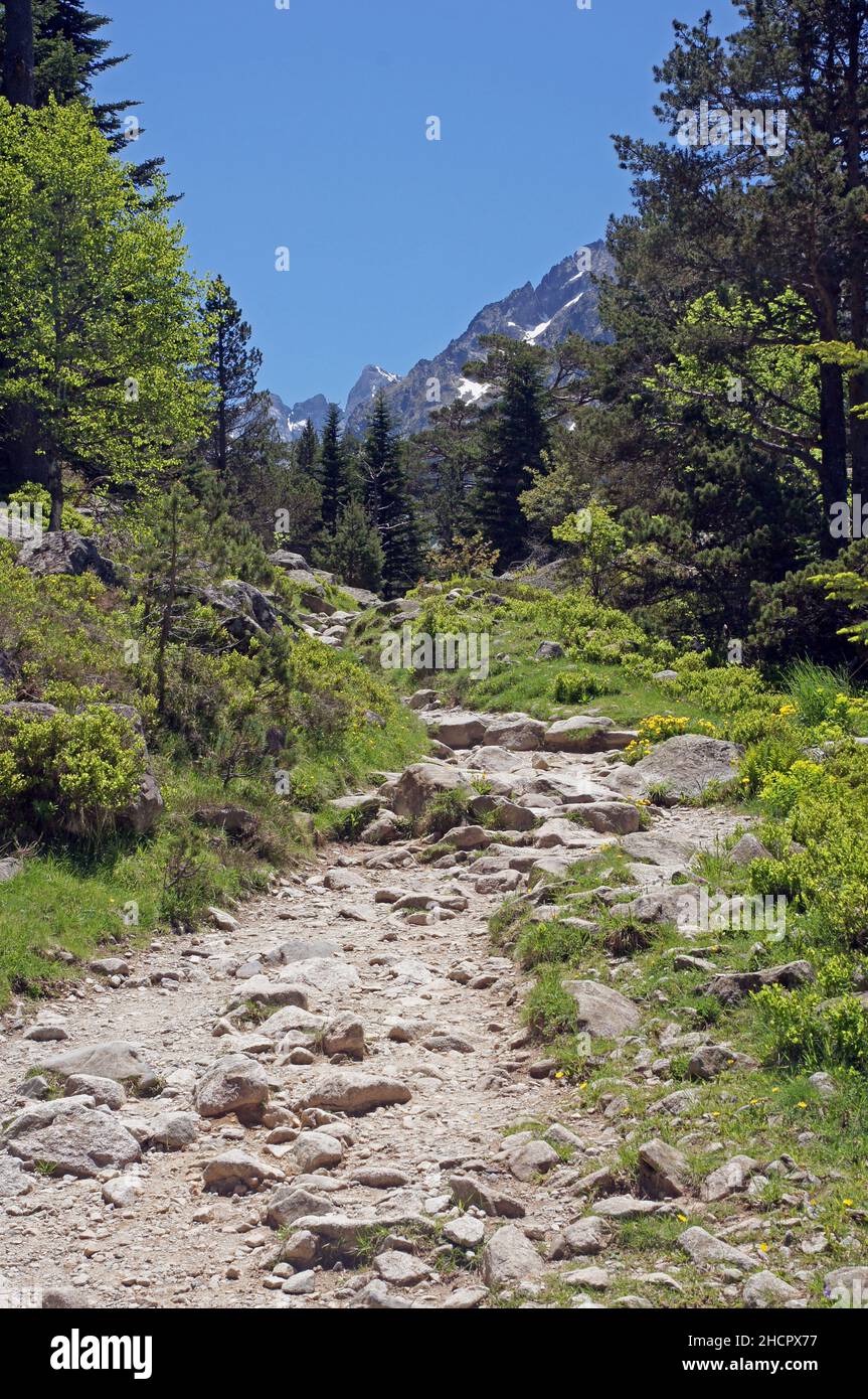 The French Pyr�n�es: walking the GR10 in the Vall�e de Gaube Stock Photo