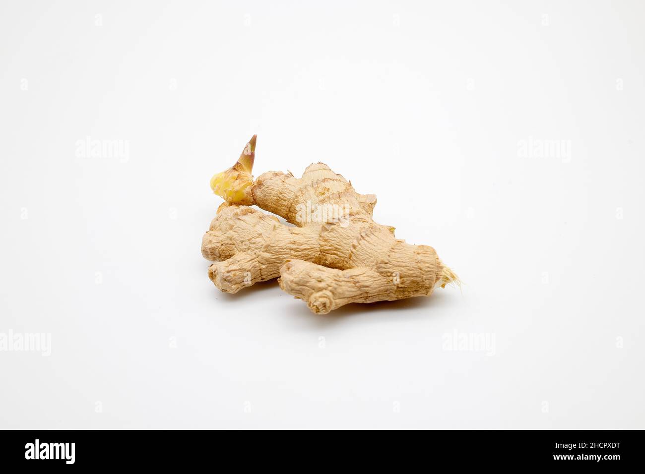 Fresh Root Ginger Zingiber officinale on a white background, NOT cut out Stock Photo Alamy