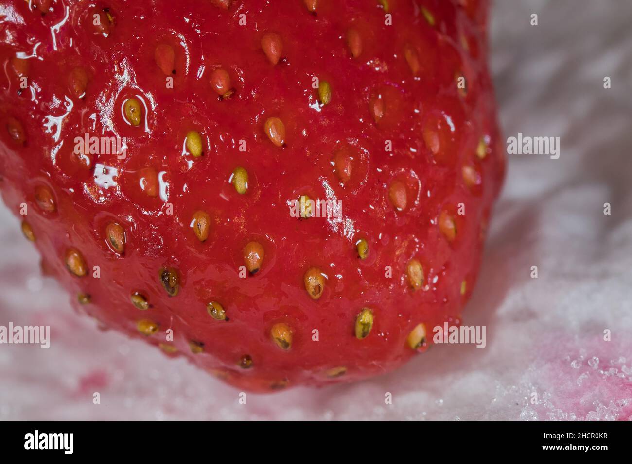 Sugar coated berries hires stock photography and images Alamy