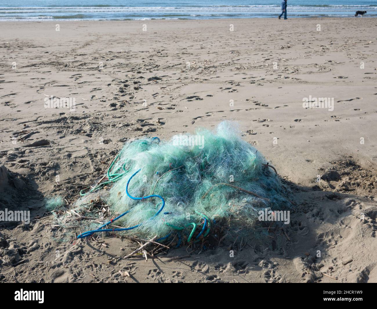 tangled fishing nets arrived on the sand after a storm, a symbol of