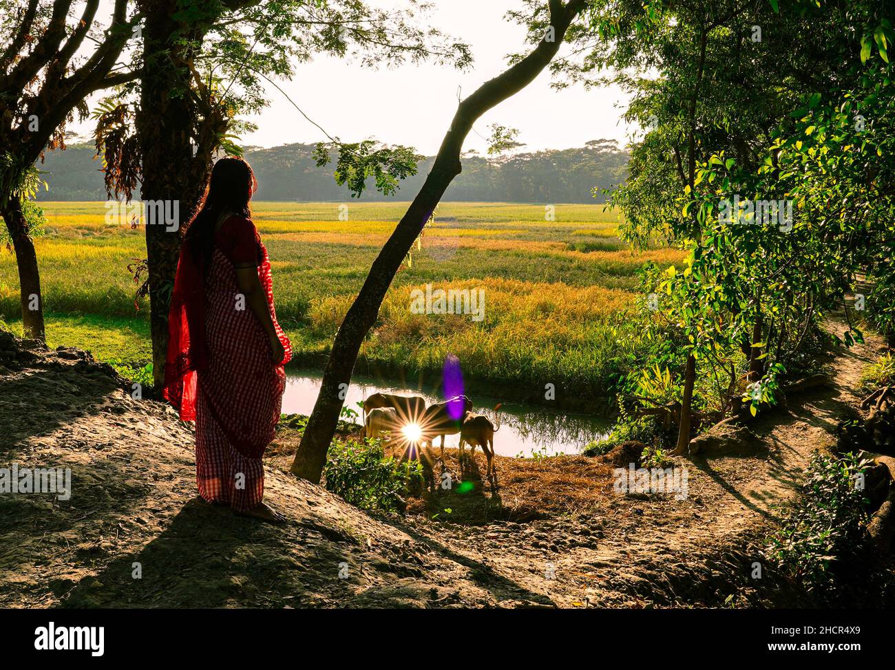 Simple Girl Village Bangladesh Stock Photo 2332334583