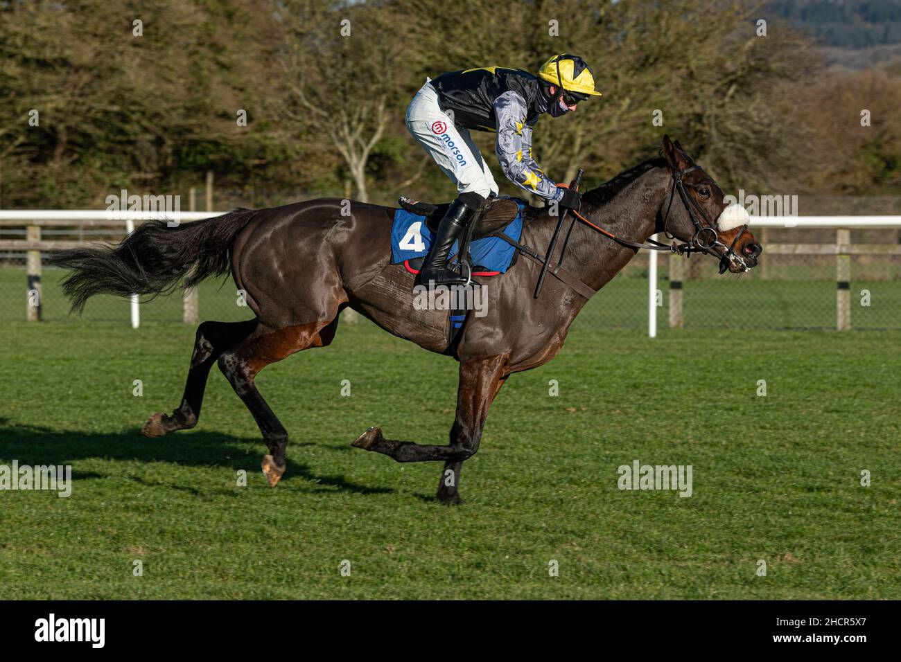 Harry Cobden riding Rainyday Woman to win at Wincanton December 2nd ...