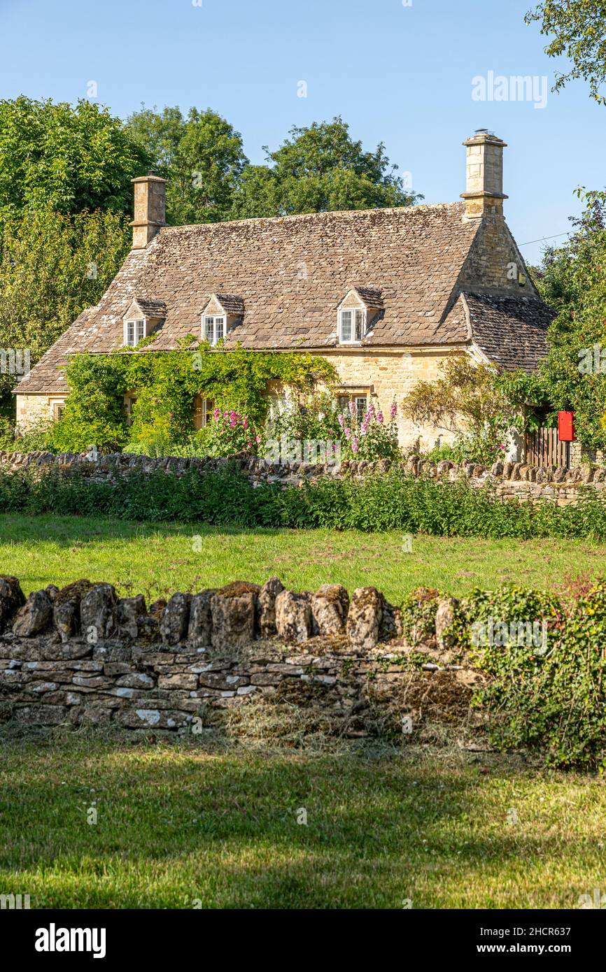 Hollyhocks flowering outside a traditional stone cottage in the Cotswold village of Taynton, Oxfordhire UK Stock Photo