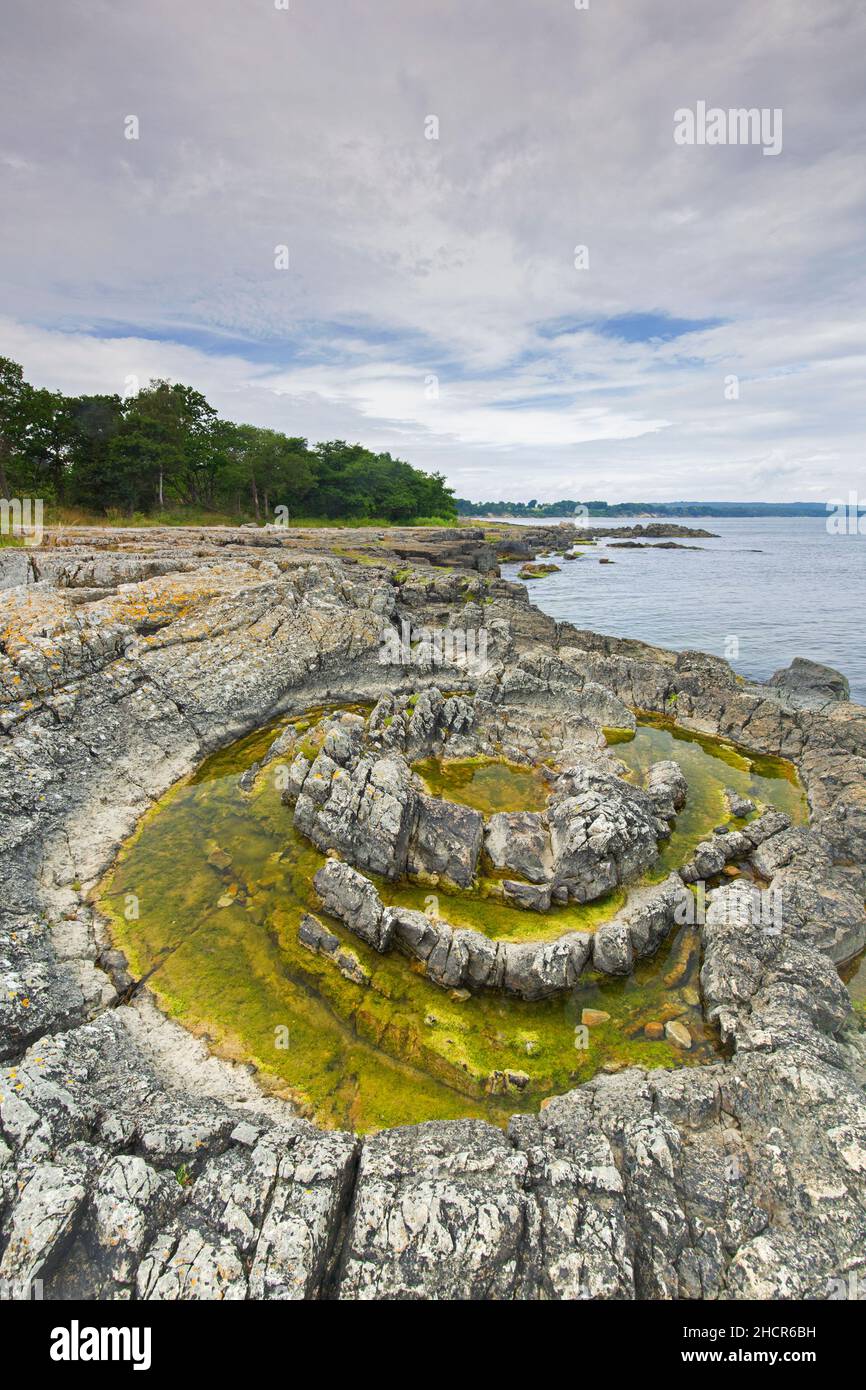 Prästens badkar / priest's bathtub, Cambrian fossil sand volcano / sandstone blow / sand boil along the Baltic Sea near Vik, Skåne / Scania, Sweden Stock Photo