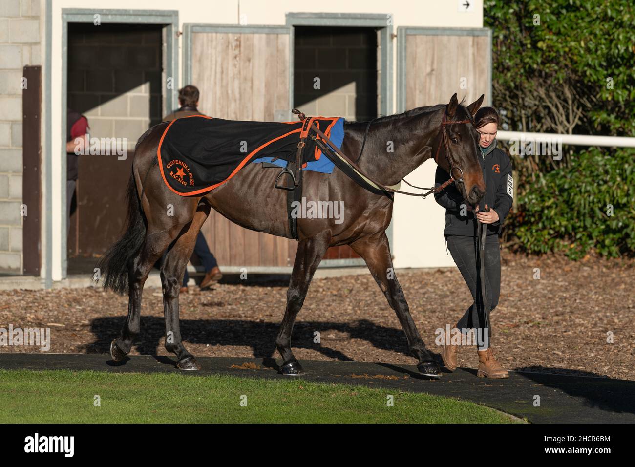 Race 3 at Wincanton December 2nd 2021 Stock Photo