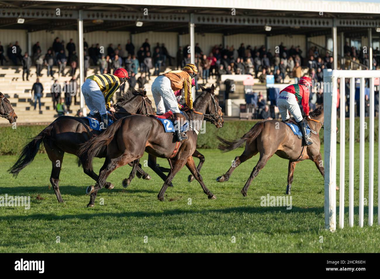 Race 3 at Wincanton December 2nd 2021 Stock Photo