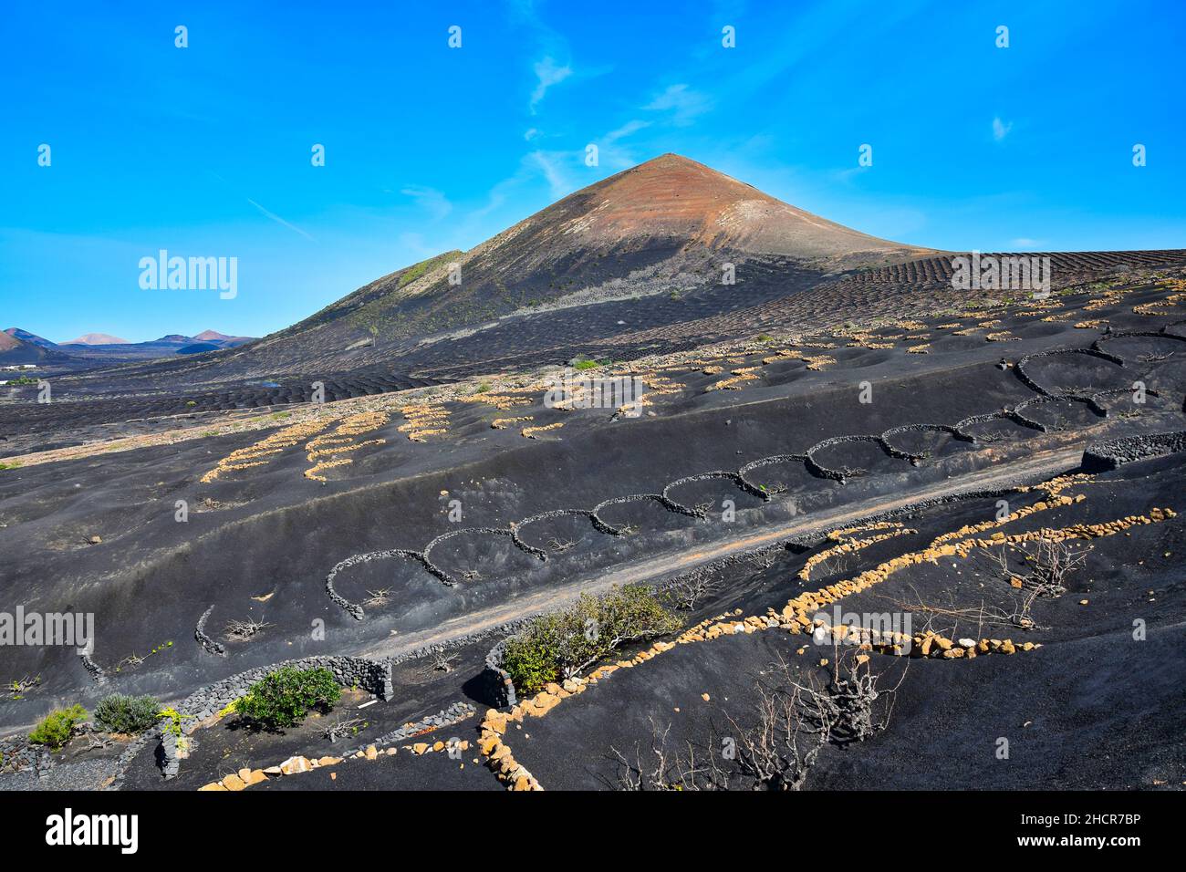 The wine-growing area of La Geria, Lanzarote, in the winter. In the background the volcano Montana Guardilama. Canary Islands, Spain. Stock Photo