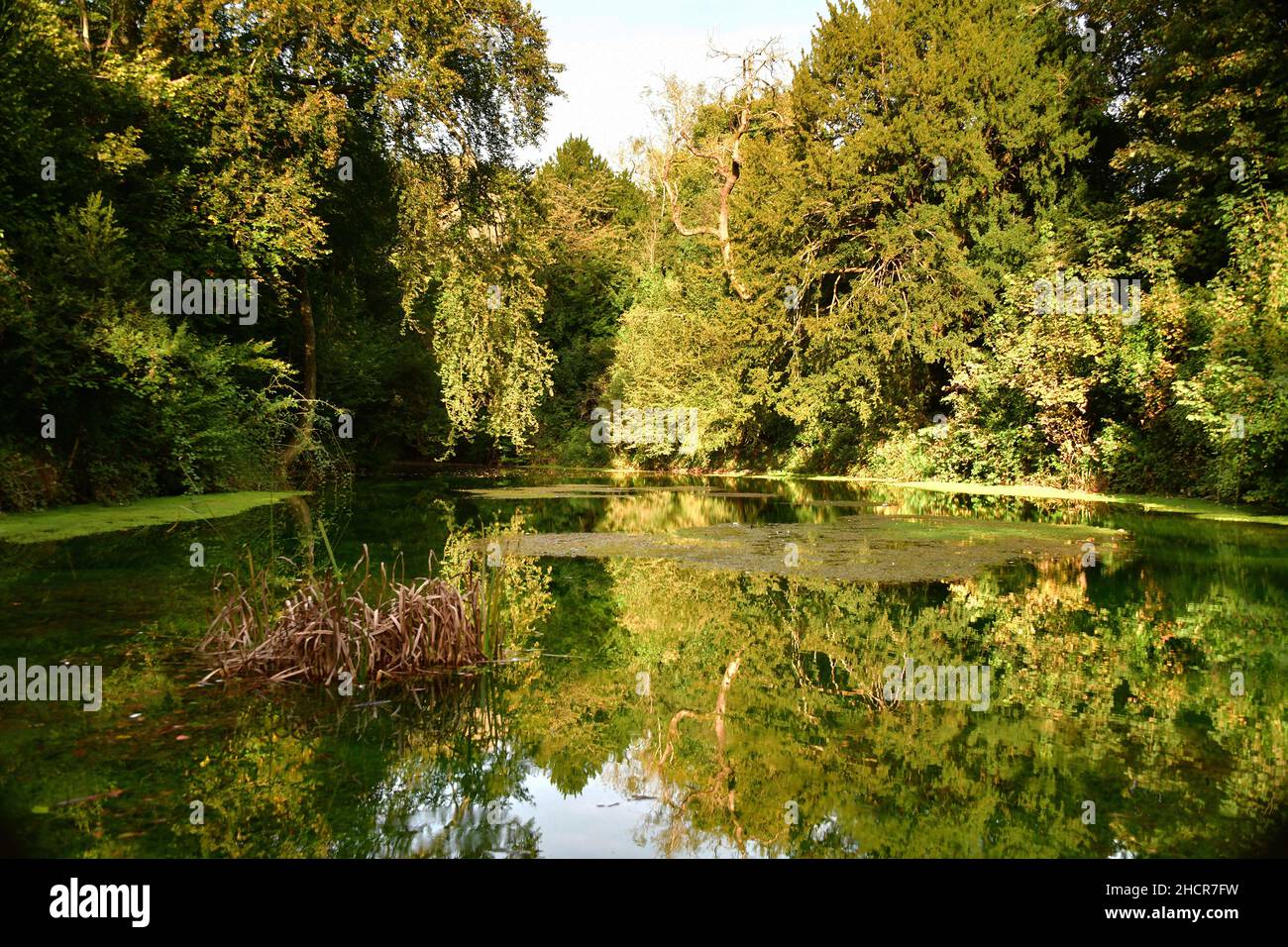The Silent Pool, near Guildford, Surrey, England Stock Photo