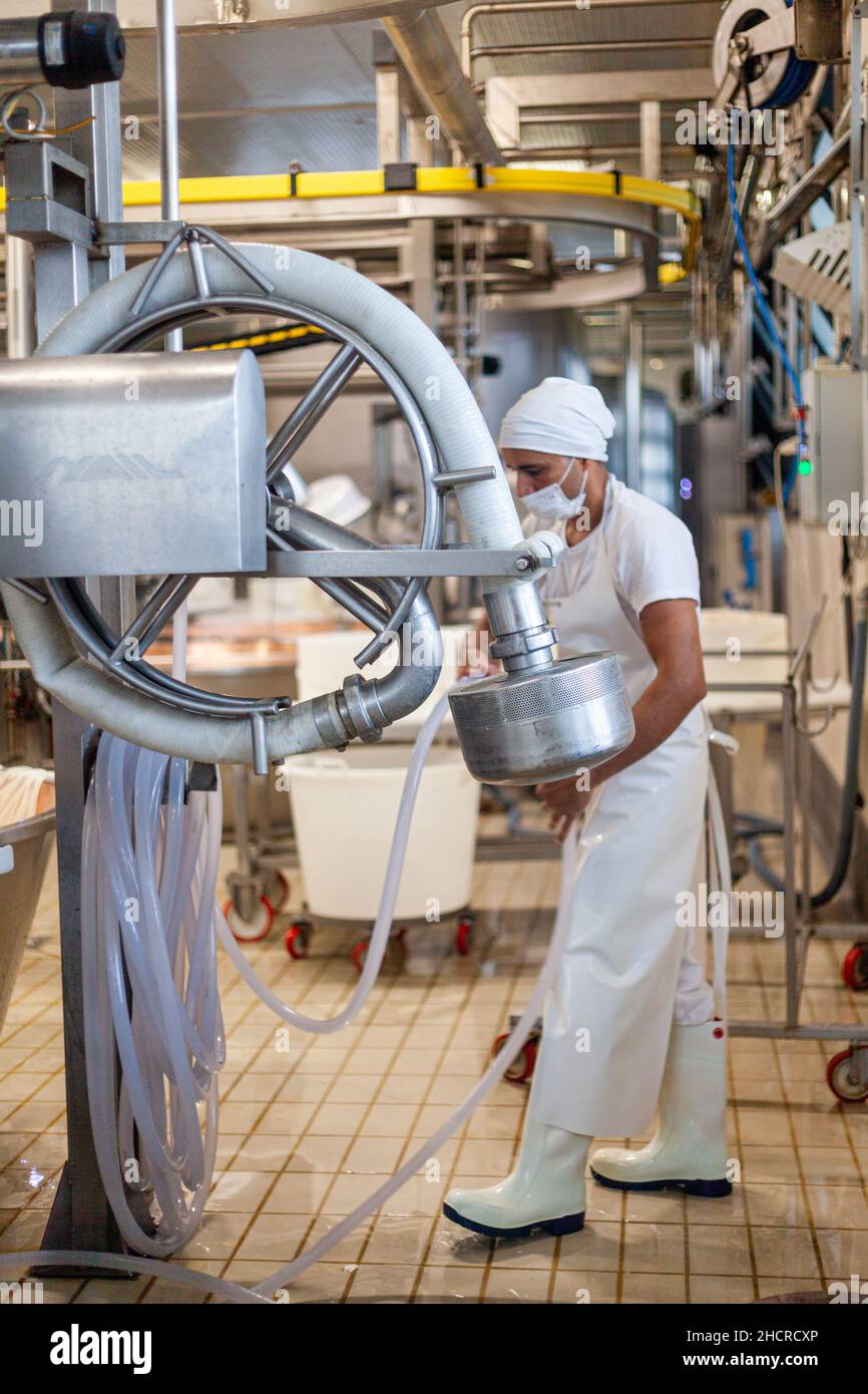 Cheese making dairy farm, Parma 2064 manufacturing wheels, and workers