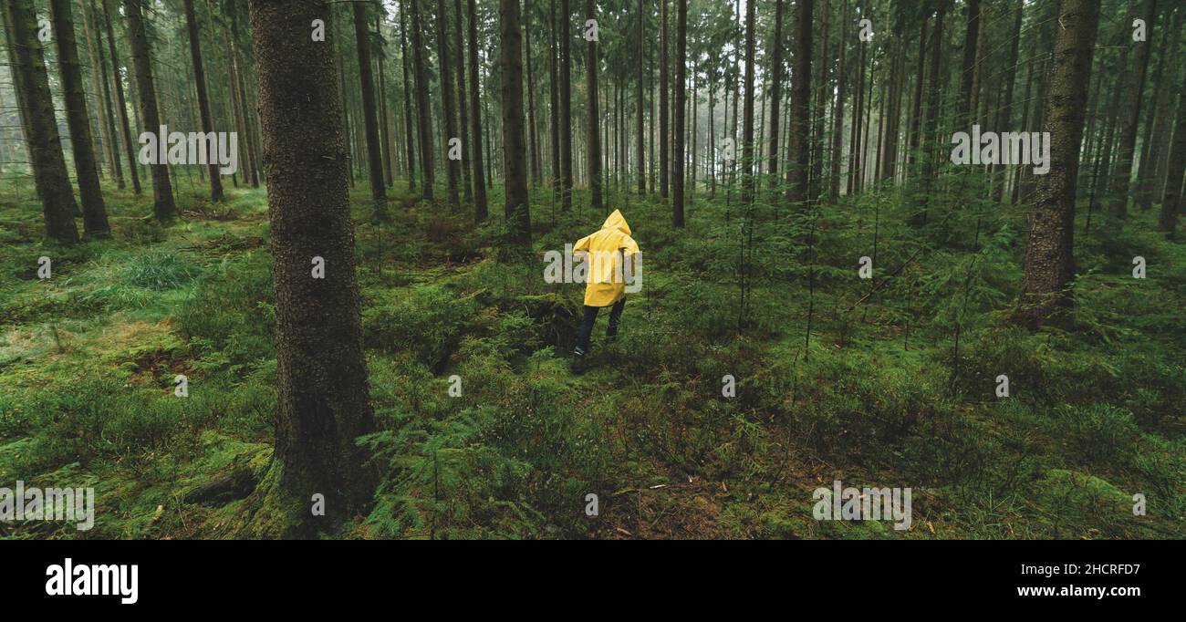 man with yellow rain jacket run in to the dark pine tree forest Stock Photo