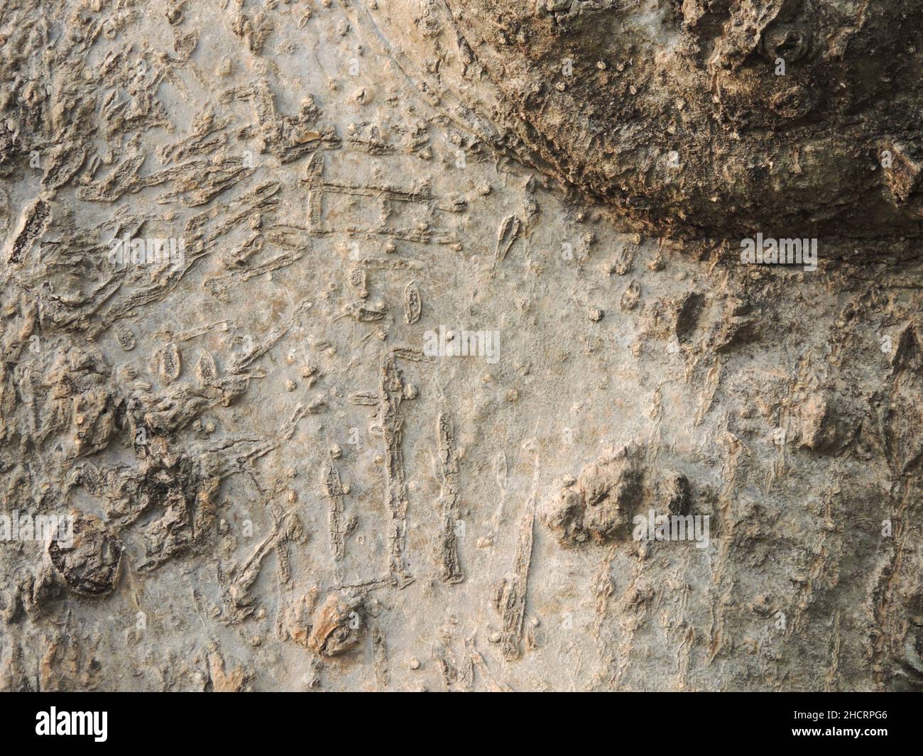 Old weathered wall with texture Stock Photo