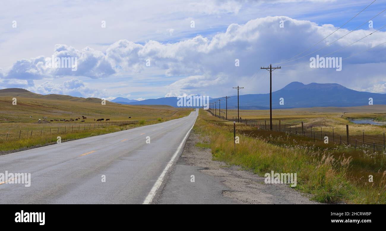 The scenic landscape of the cattle ranches in front of the Rocky Mountains, near Hartsel CO Stock Photo