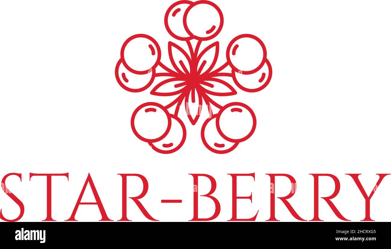 Minimalist simple design STAR BERRY logo design Stock Vector Image