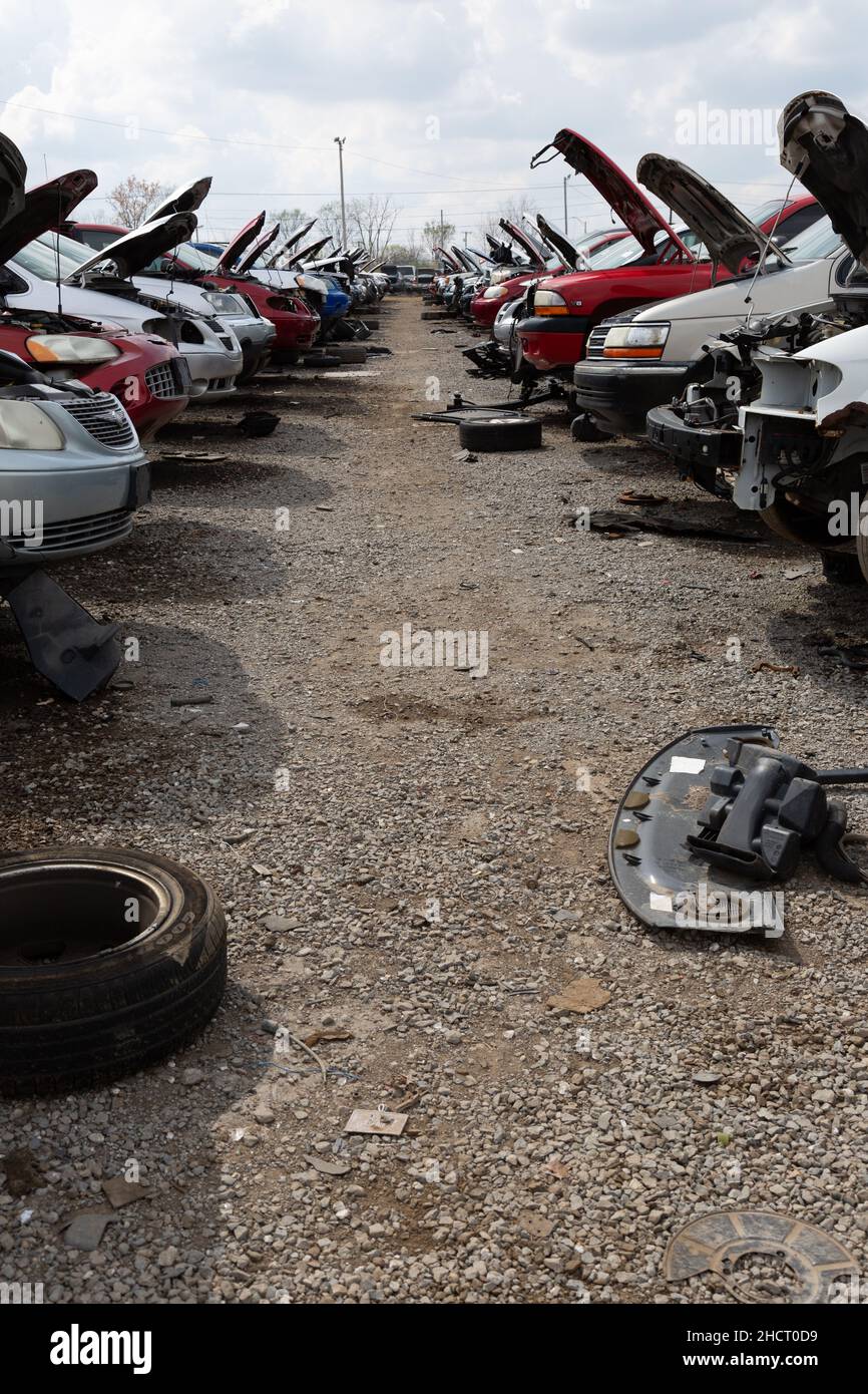 The Chrysler aisle at the Pick Your Part auto salvage yard in Fort Wayne, Indiana, USA. Stock Photo