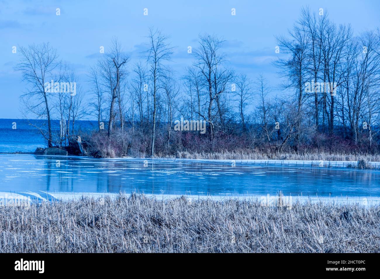 Frozen Sheridan Creek in Rattray Marsh Stock Photo