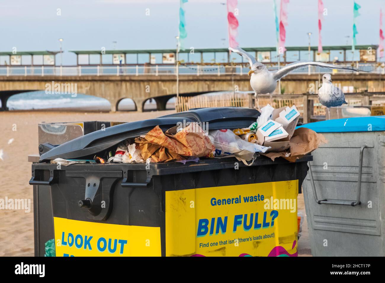 England, Dorset, Bournemouth, Bournemouth Seafront, Seagulls Feeding