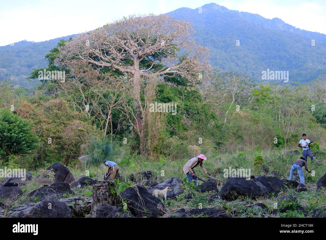 Nicaragua Ometepe Island - Island Farmer Stock Photo