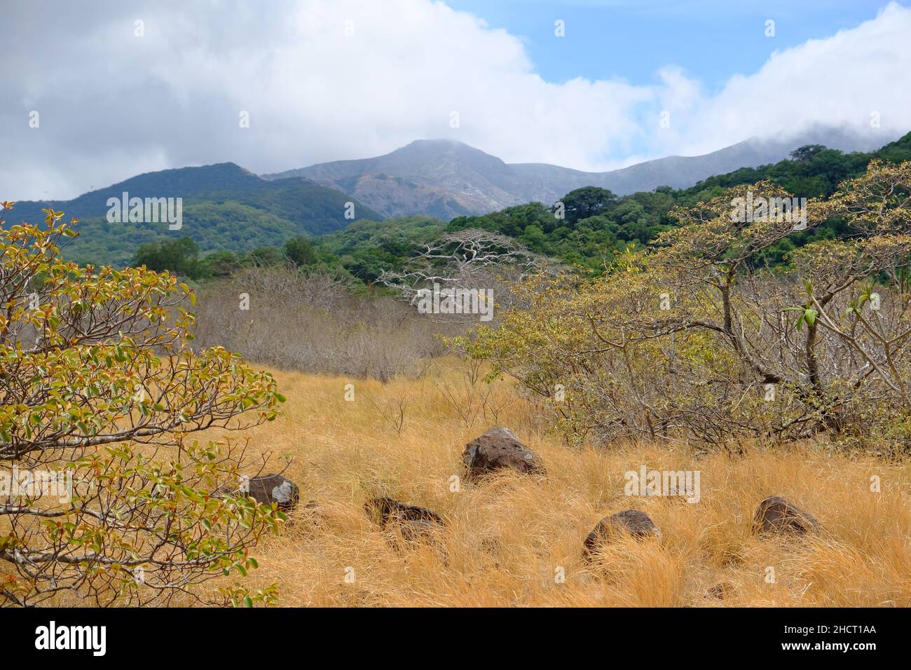 Costa Rica Rincon de la Vieja National Park - National Park landscape view Stock Photo