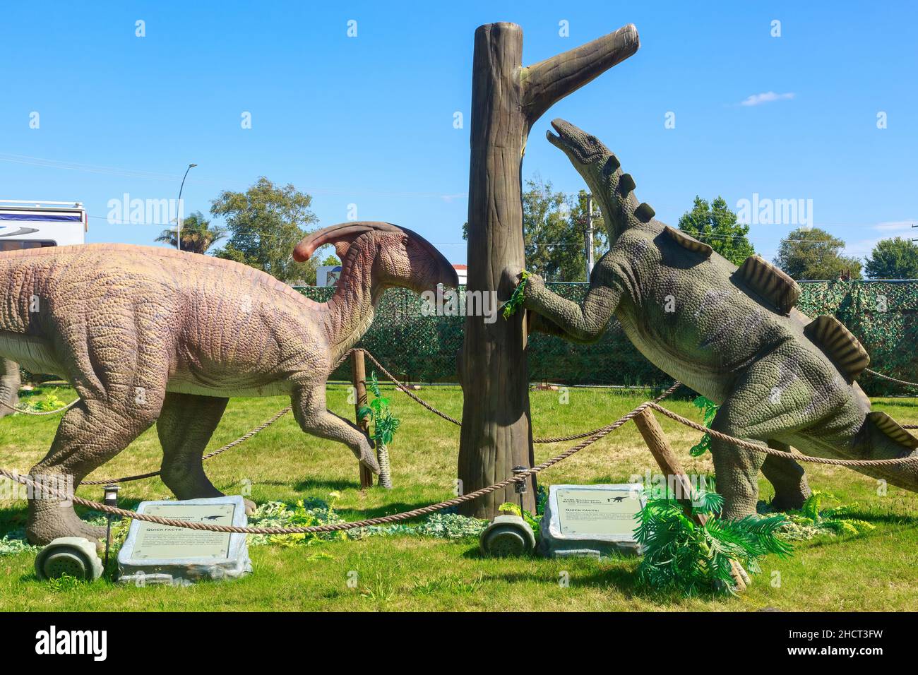 Models of two plant-eating dinosaurs: Parasaurolophus (left) and Wuerhosaurus Stock Photo