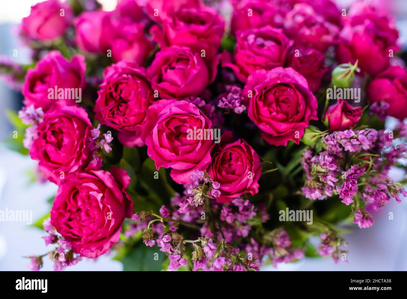 Background image of pink roses Stock Photo - Alamy