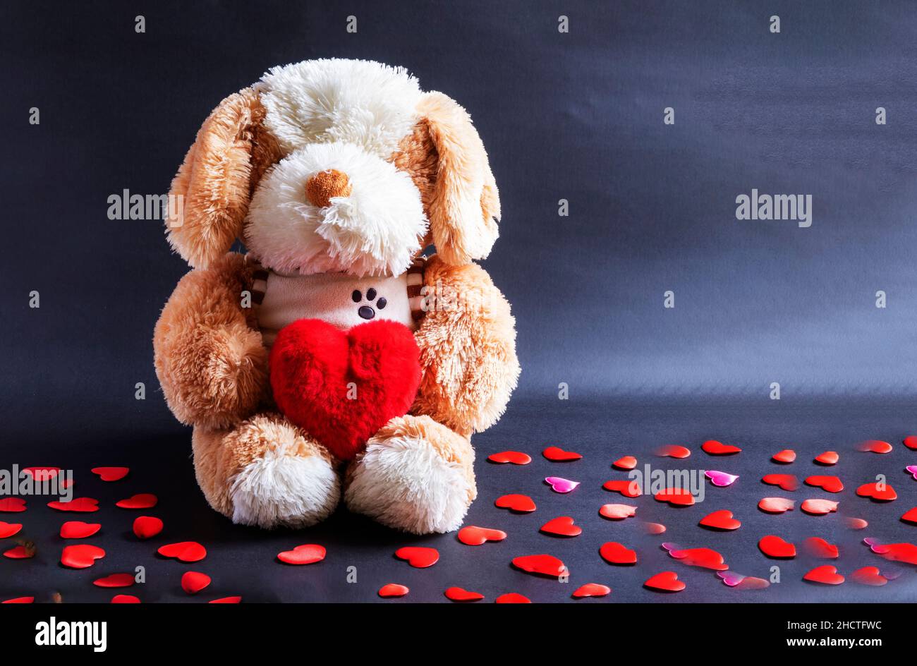 31,961 Happy Valentines Day Stock Photos, High-Res Pictures, and