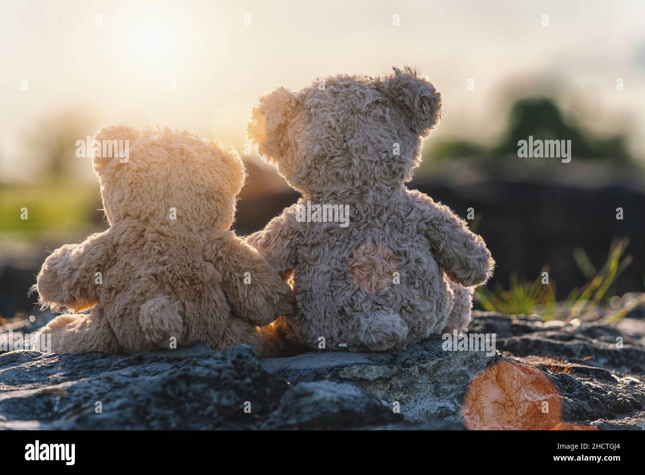 Two teddy bear toys sitting on a stone and holding hands with sunset ...