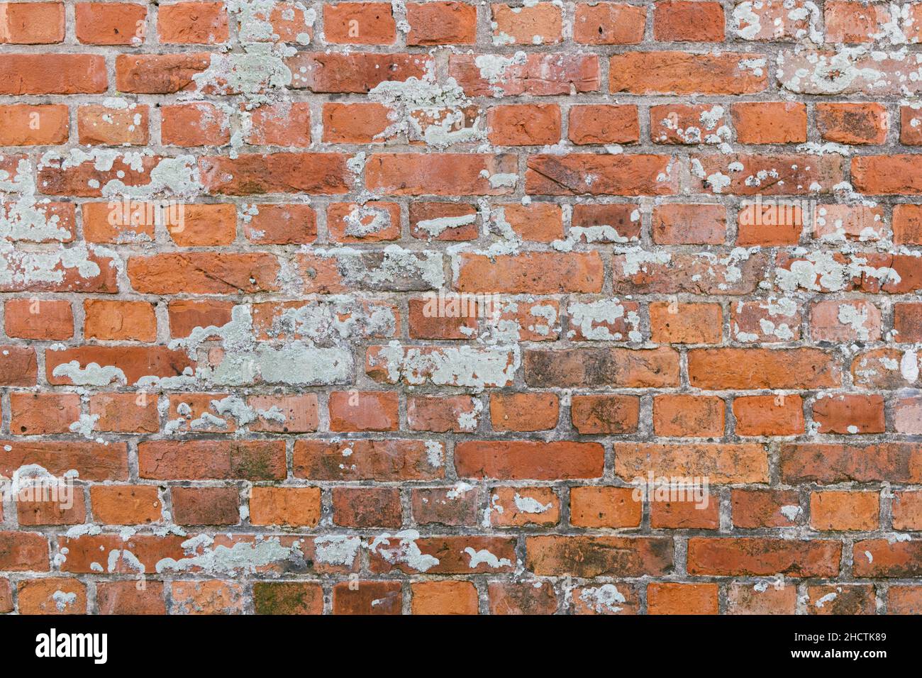 Old weathered Brick Wall Background Stock Photo