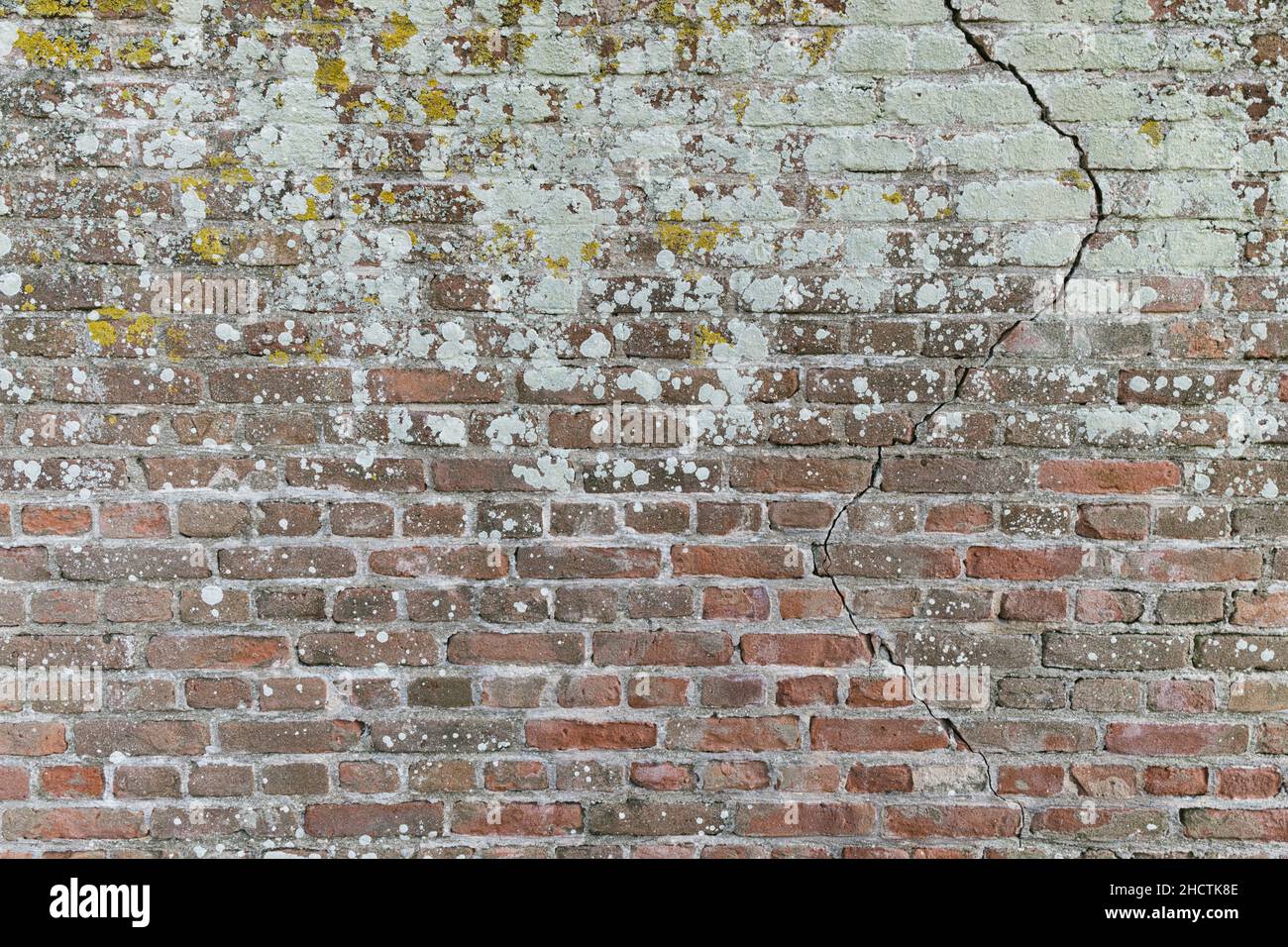 weathered old brick wall background Stock Photo