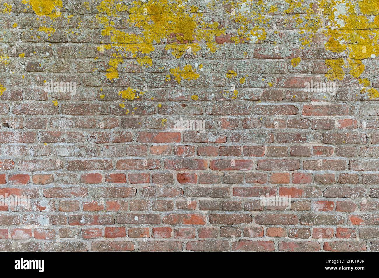 weathered brick wall background Stock Photo