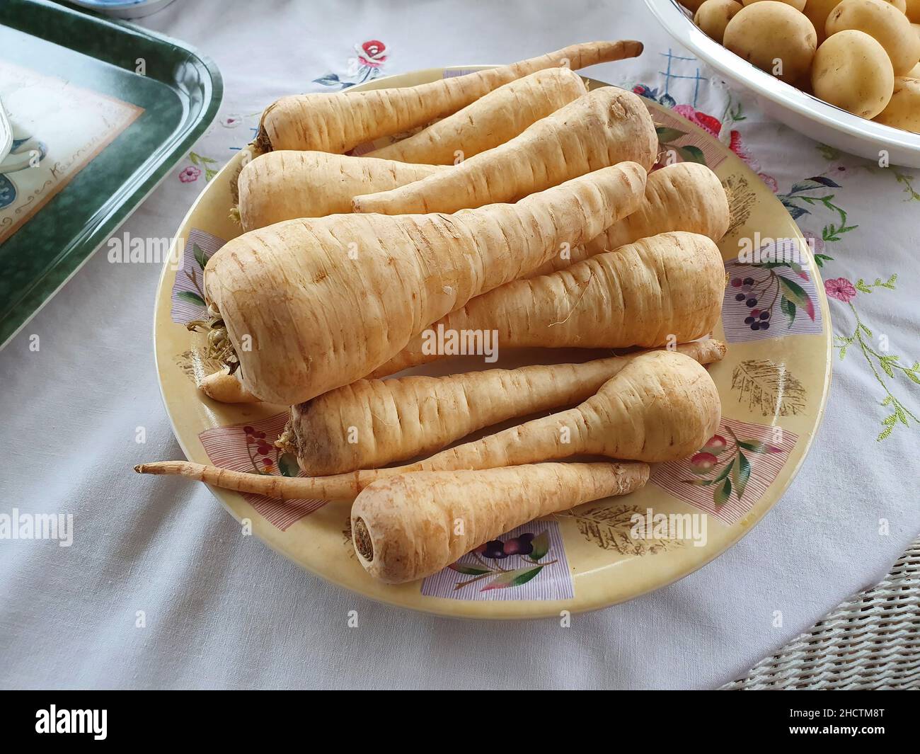 Parsnips on a table background often served roasted with dinner during the festive season of Christmas and Thanksgiving for its nutrition health benef Stock Photo