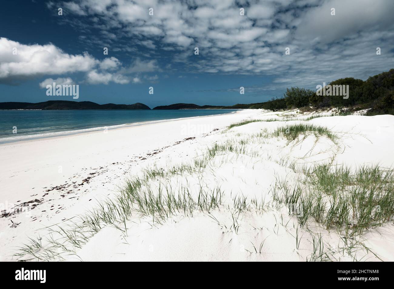 Whitehaven Beach is always to find in the Top Ten beaches of the world. Stock Photo