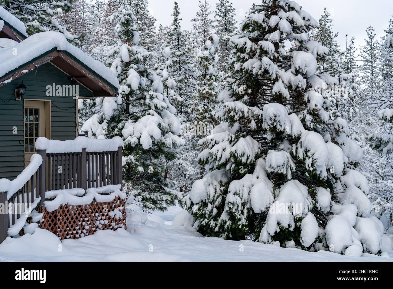 Snow covered house trees hi-res stock photography and images - Alamy