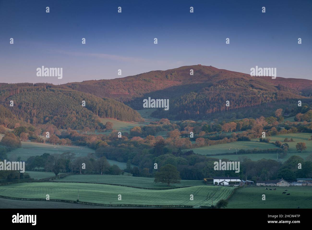 Moel Famau mountain in the Clwydian Range, North Wales Stock Photo