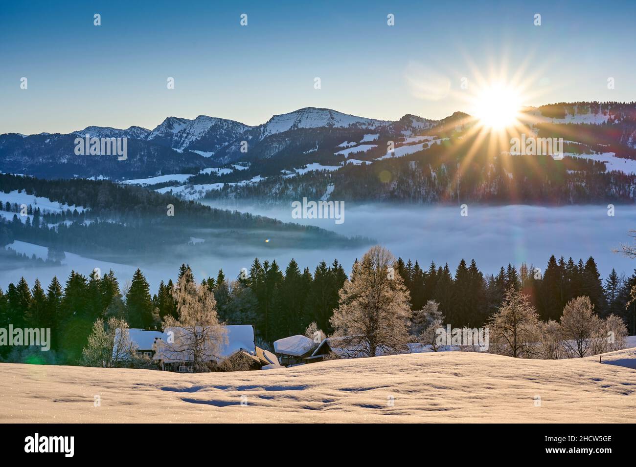 panoramic view to the Nagelfluh Mountain chain in the Allgaeu Alps