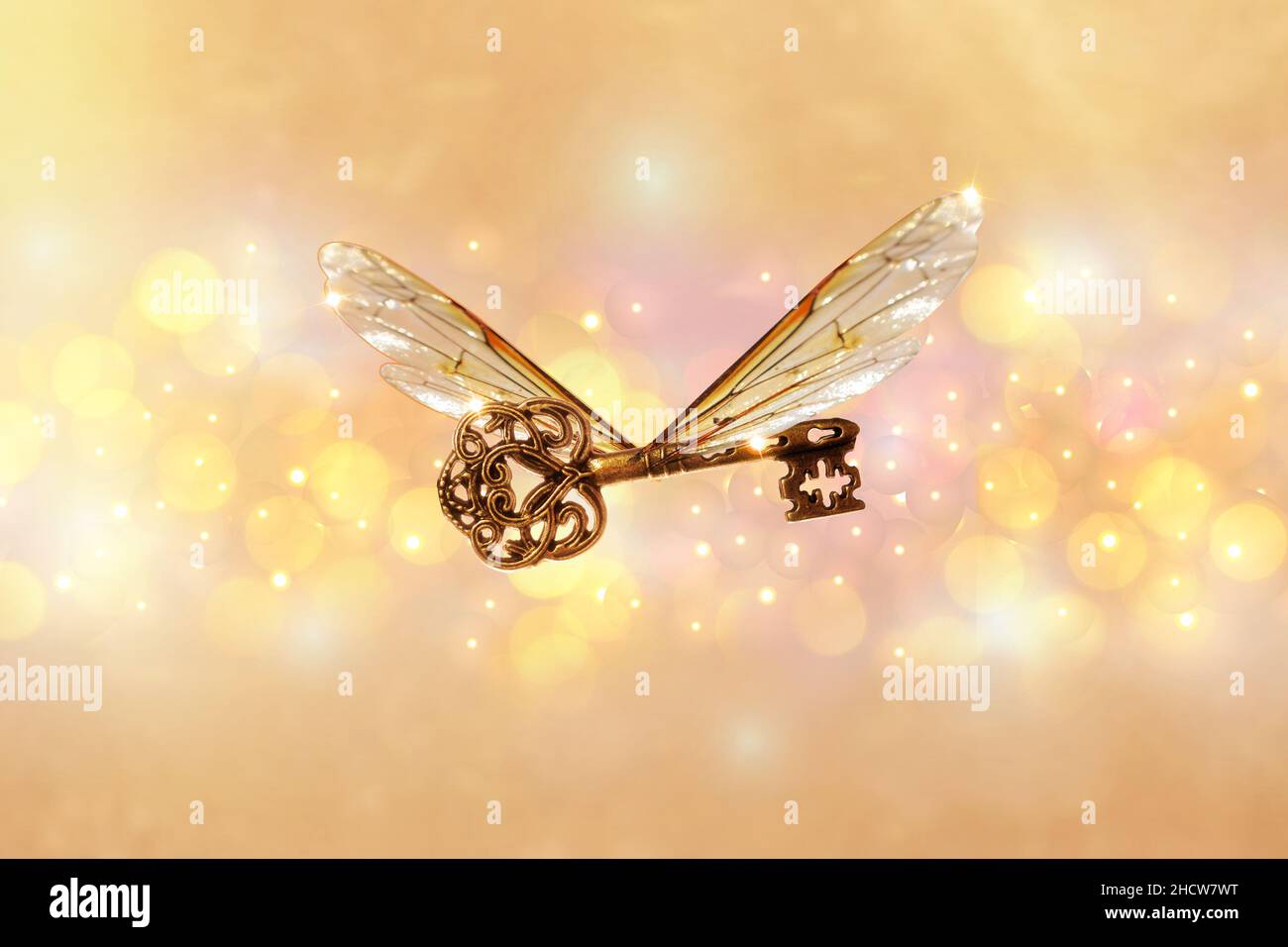magical flying key meaning with dragonfly wings Stock Photo