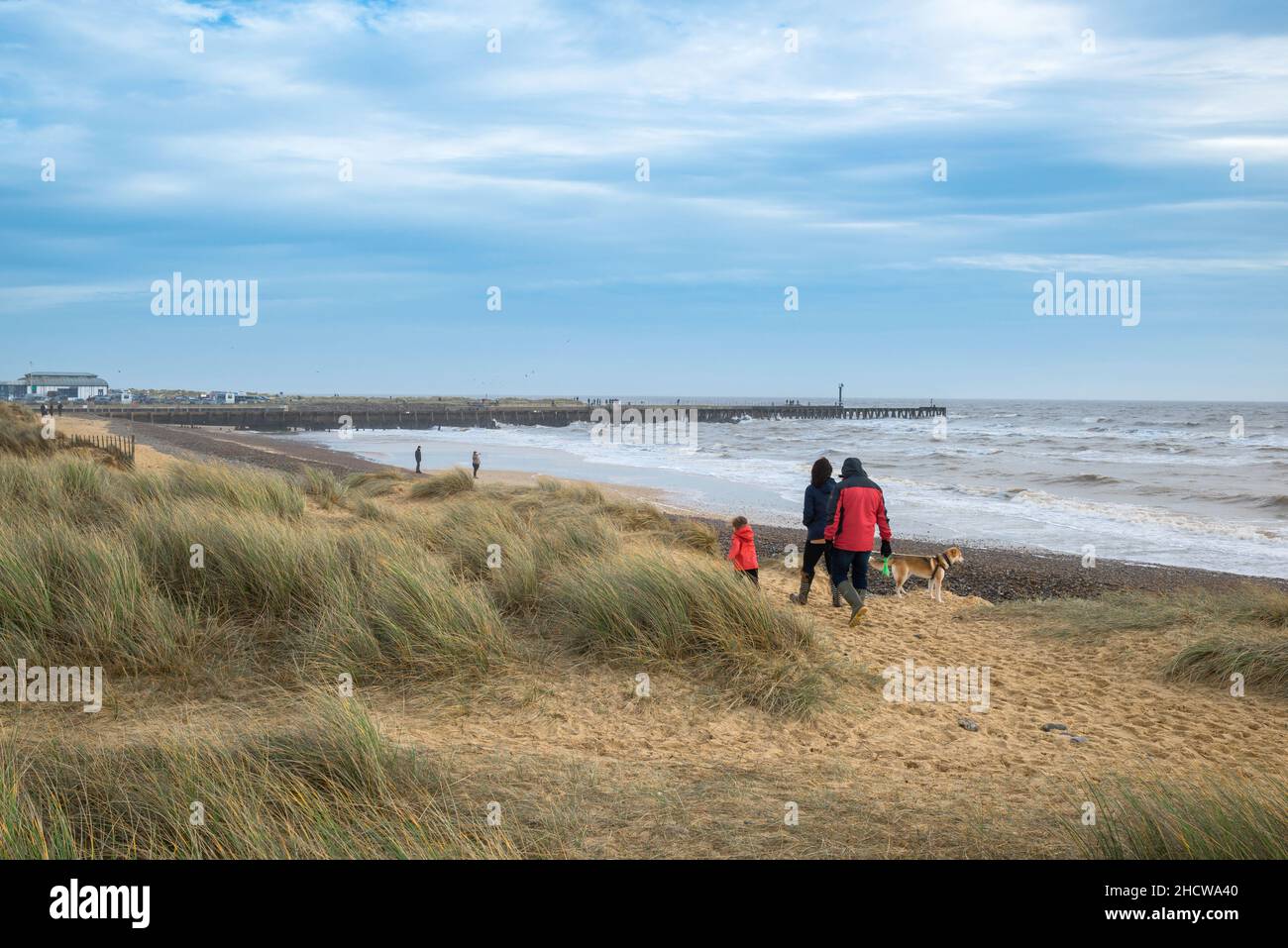 Family walking, view in winter of a family and their dog taking a walk among the sand dunes at Walberswick beach, Suffolk, England, UK Stock Photo